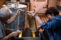 Beekeeper uncapping honey cells on the hive frames with a uncapping comb Royalty Free Stock Photo