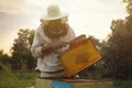 Beekeeper in uniform brushing honey frame at apiary