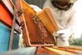 Beekeeper in uniform brushing honey frame at apiary, closeup Royalty Free Stock Photo