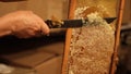 Beekeeper unsealing honeycomb