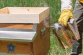 A beekeeper uses a smoker over the hive body to calm honey bees 