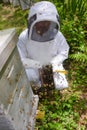 Beekeeper using smoker on hive