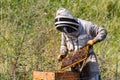 Beekeeper wearing protective gear is tending to a beehive box full of honeycomb