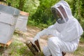 beekeeper at work Royalty Free Stock Photo