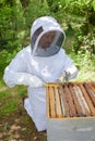 beekeeper at work Royalty Free Stock Photo