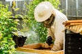 Unidentified beekeeper work with bee hives, pumping honey Royalty Free Stock Photo