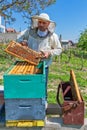 Beekeeper at Work. Bee keeper lifting shelf out of hive. The beekeeper saves the bees. Royalty Free Stock Photo