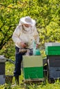 Beekeeper at Work. Bee keeper lifting shelf out of hive. The beekeeper saves the bees.