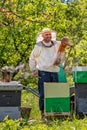 Beekeeper at Work. Bee keeper lifting shelf out of hive. The beekeeper saves the bees. Royalty Free Stock Photo
