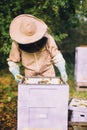 Beekeeper at work. Honey bees on honeycomb Royalty Free Stock Photo