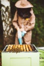 Beekeeper at work. Honey bees on honeycomb