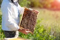 Beekeeper at work by the wooden bee hives. Young farmer in his farm