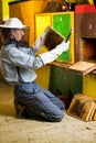 Beekeeper working in an apiary