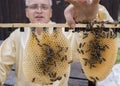 A Beekeeper working with bee quen cels Royalty Free Stock Photo