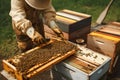 Beekeeper working with bees in apiary. Beekeeping concept. Generative AI