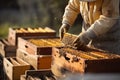 Beekeeper working with bees in apiary. Beekeeping concept. Generative AI