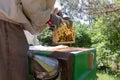Beekeeper is working with bees and beehives on the apiary Royalty Free Stock Photo