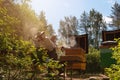 Beekeeper is working with bees and beehives on the apiary Royalty Free Stock Photo