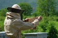 Beekeeper working collect honey. Apiary. Beekeeping concept. Royalty Free Stock Photo