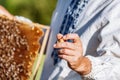 Beekeeper working collect honey. Beekeeping concept Royalty Free Stock Photo