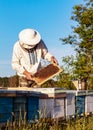 Beekeeper working collect honey. Beekeeping concept Royalty Free Stock Photo