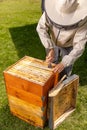 Beekeeper working collect honey Royalty Free Stock Photo