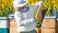 Beekeeper working Royalty Free Stock Photo