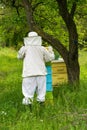 Beekeeper working on his beehives in the garden Royalty Free Stock Photo