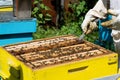 Beekeeper working on his beehives in the garden Royalty Free Stock Photo