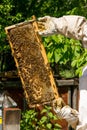 Beekeeper working on his beehives in the garden Royalty Free Stock Photo