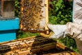 Beekeeper working on his beehives in the garden Royalty Free Stock Photo