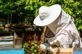 Beekeeper working on his beehives in the garden Royalty Free Stock Photo