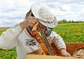 Beekeeper is working. Royalty Free Stock Photo