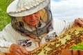 Beekeeper is working. Royalty Free Stock Photo