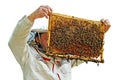 Beekeeper is working. Royalty Free Stock Photo