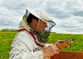 Beekeeper is working. Royalty Free Stock Photo