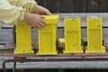 A Beekeeper working