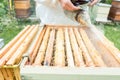 Beekeeper working with smoke on his bees Royalty Free Stock Photo