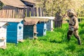 Beekeeper works in the apiary near the hives