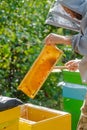 beekeeper works on apiary in summer. Getting honey from bee house hive. Apiculture. Beeswax. Beekeeping.