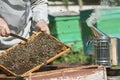 A beekeeper works at a bee apiary. Using a smoker, the beekeeper distracts the bees when inspecting the hive Royalty Free Stock Photo