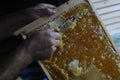 A beekeeper works with the bees and the hives in the apiary. a man in a protective suit at the apiary. Employee pulls the frame fr Royalty Free Stock Photo