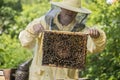 Beekeeper works in a hive - adds frames