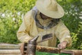 Beekeeper works in a hive - adds frames