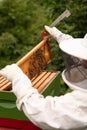 A beekeeper works with a hive of honey bees Royalty Free Stock Photo