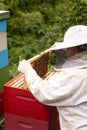A beekeeper works with a hive of honey bees Royalty Free Stock Photo