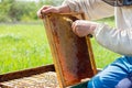 the beekeeper works with honey frames in evidence. The concept of the beekeeper