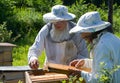 Beekeepers 1 Royalty Free Stock Photo