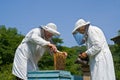 Beekeepers 16 Royalty Free Stock Photo