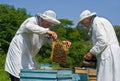 Beekeepers 17 Royalty Free Stock Photo